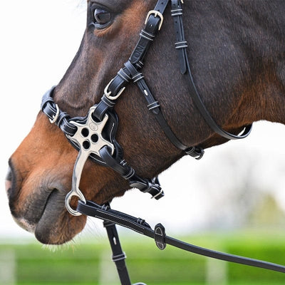 Jump'in Hackamore Bridle - One Premium