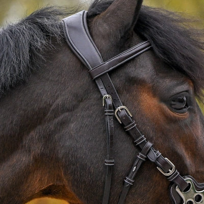 Jump'in Hackamore Bridle - One Premium