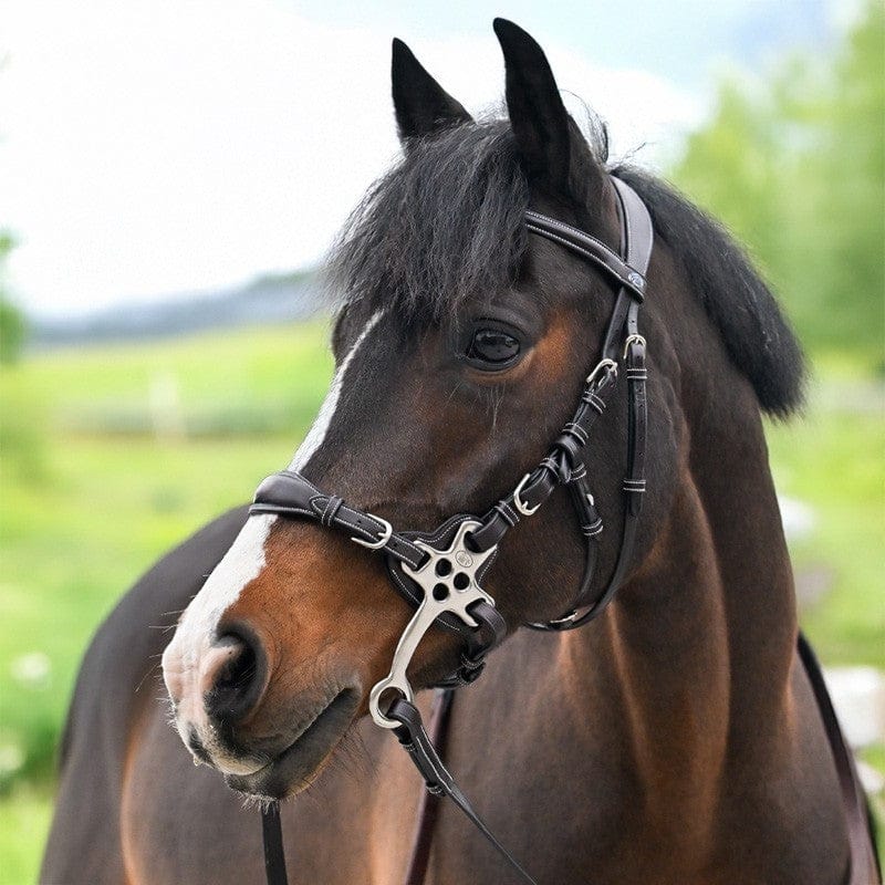 Jump'in Hackamore Bridle - One Premium