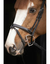 Penelope - Oxford Bridle