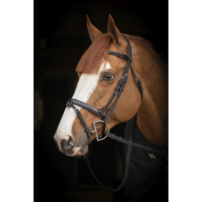 Penelope - Oxford Bridle