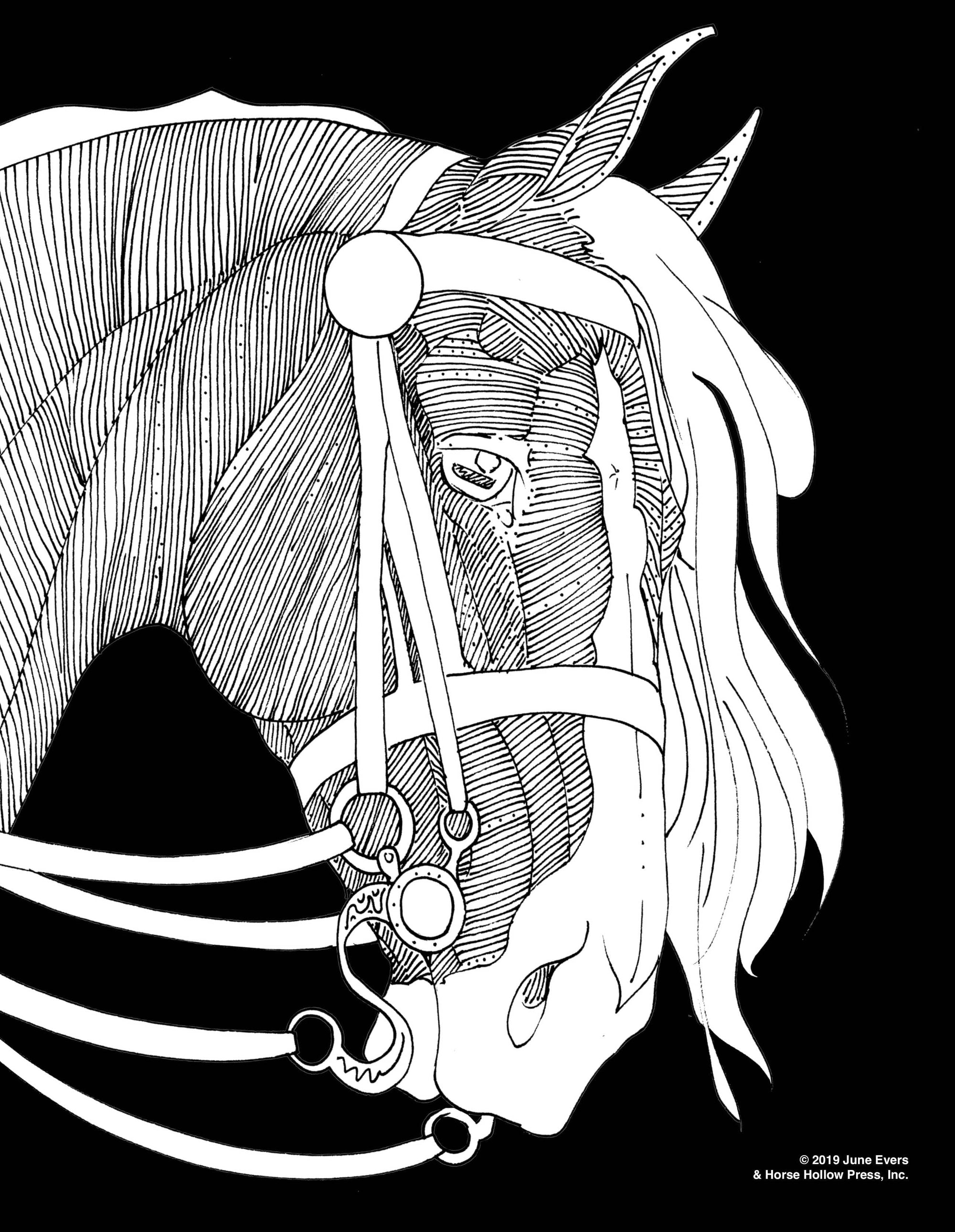 Horse Hollow Press - Pretty Horses Coloring Kit w/ 24-Colored Pencils - Exceptional Equestrian