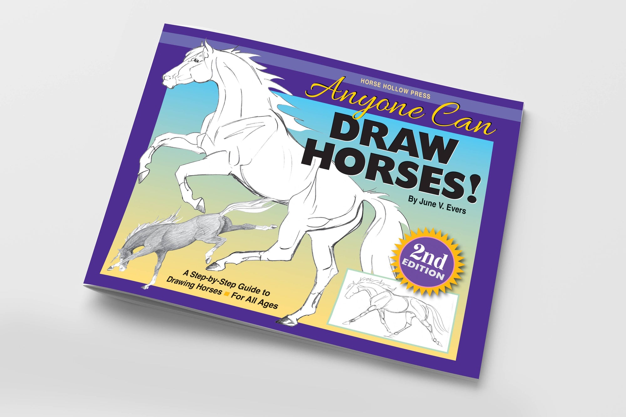 Horse Hollow Press - Art Book Animal Horse / Anyone Can Draw Horses / All ages