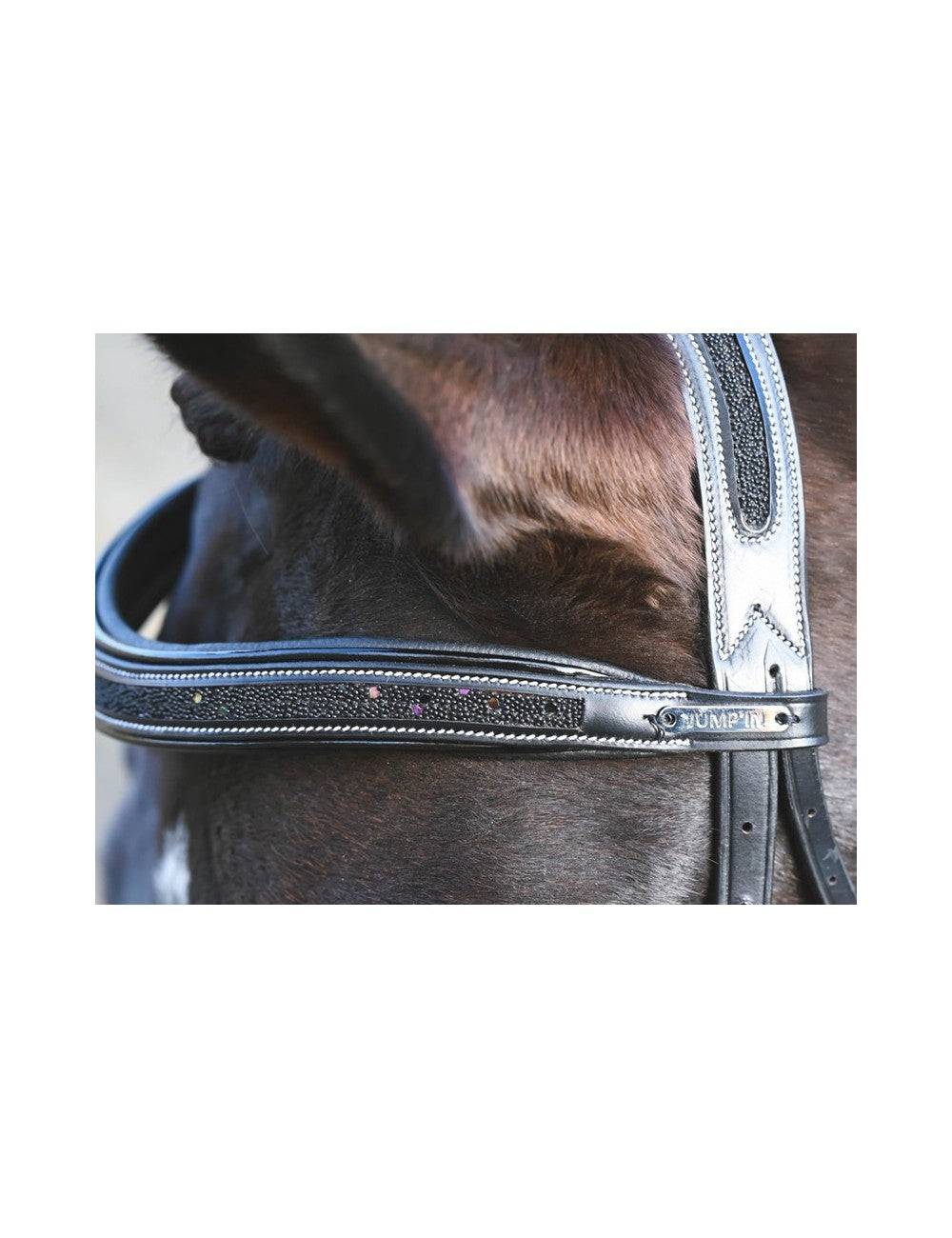 Carat Bridle - One Collection Premium - Exceptional Equestrian