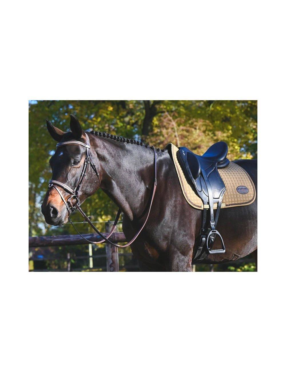 Carat Bridle - One Collection Premium - Exceptional Equestrian