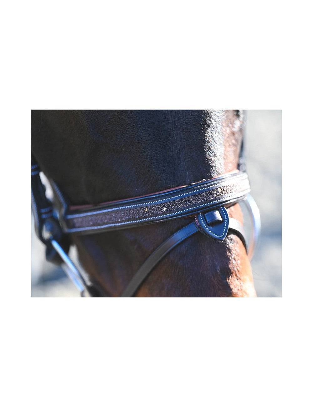 Carat Bridle - One Collection Premium - Exceptional Equestrian