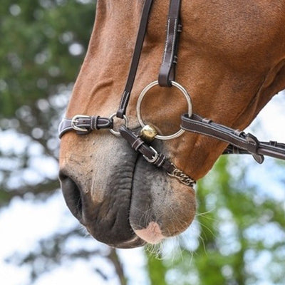 JUMP'IN - Chain Drop Noseband - Havana