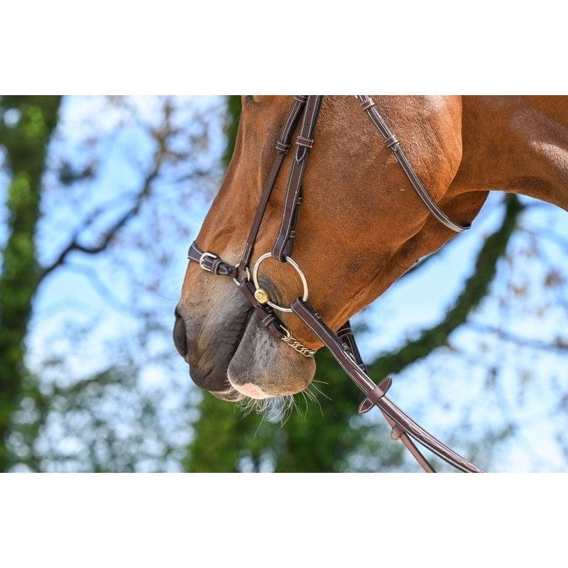 Blenheim Drop Noseband Havana Pony