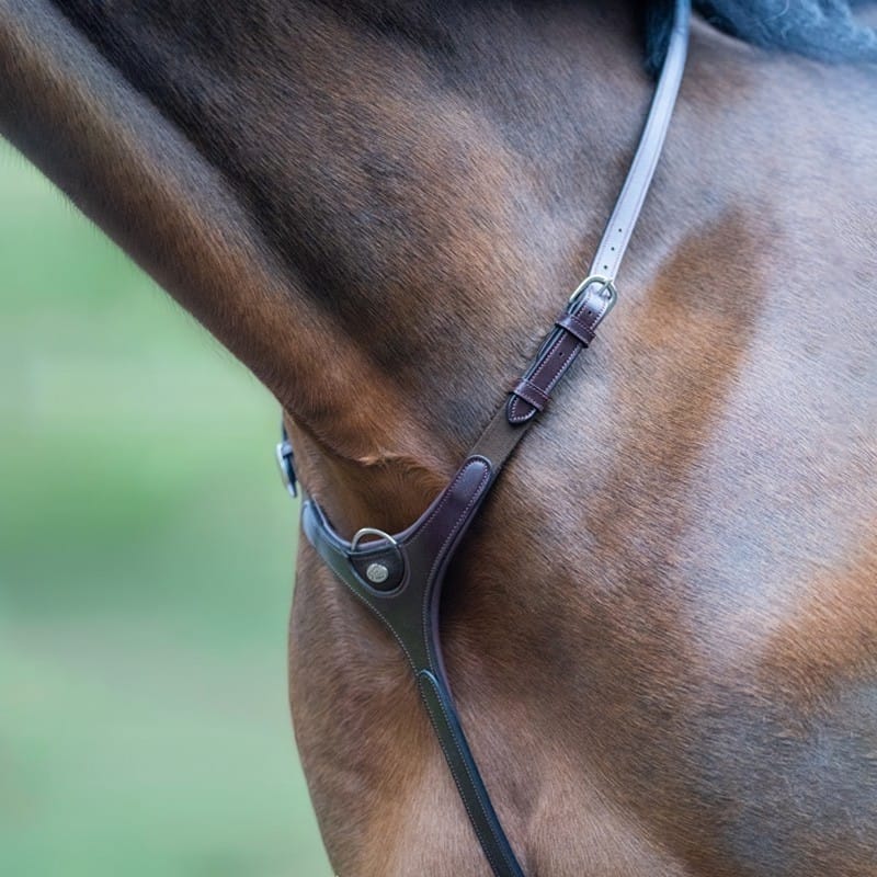 Jump'In Running martingale - Origin Range