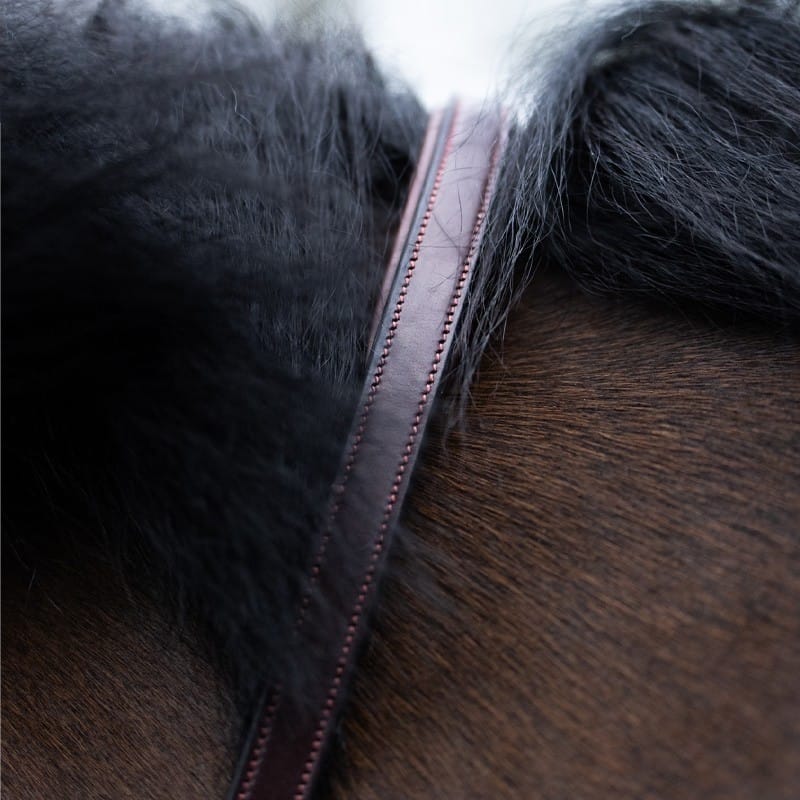 Jump'In Running martingale - Origin Range