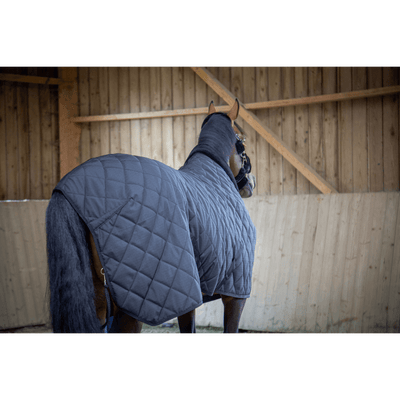 PADDOCK - Padded Stable Rug 50 gr - Exceptional Equestrian