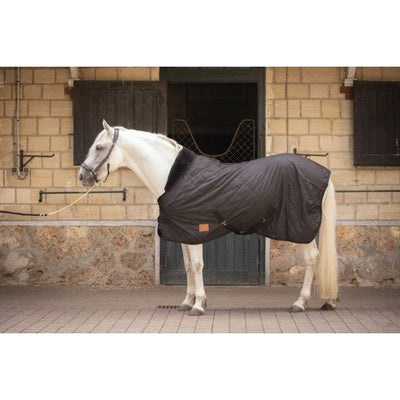 PADDOCK - Padded Stable Rug 50 gr - Exceptional Equestrian