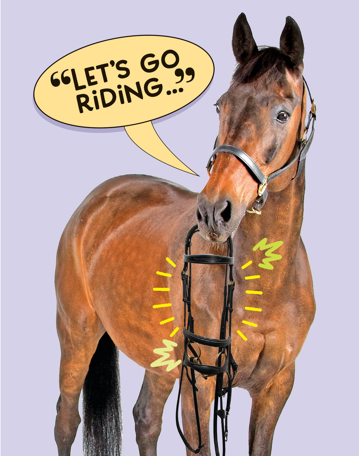 Horse Hollow Press - Horse Greeting Birthday Card / Let's Go Riding Funny Card