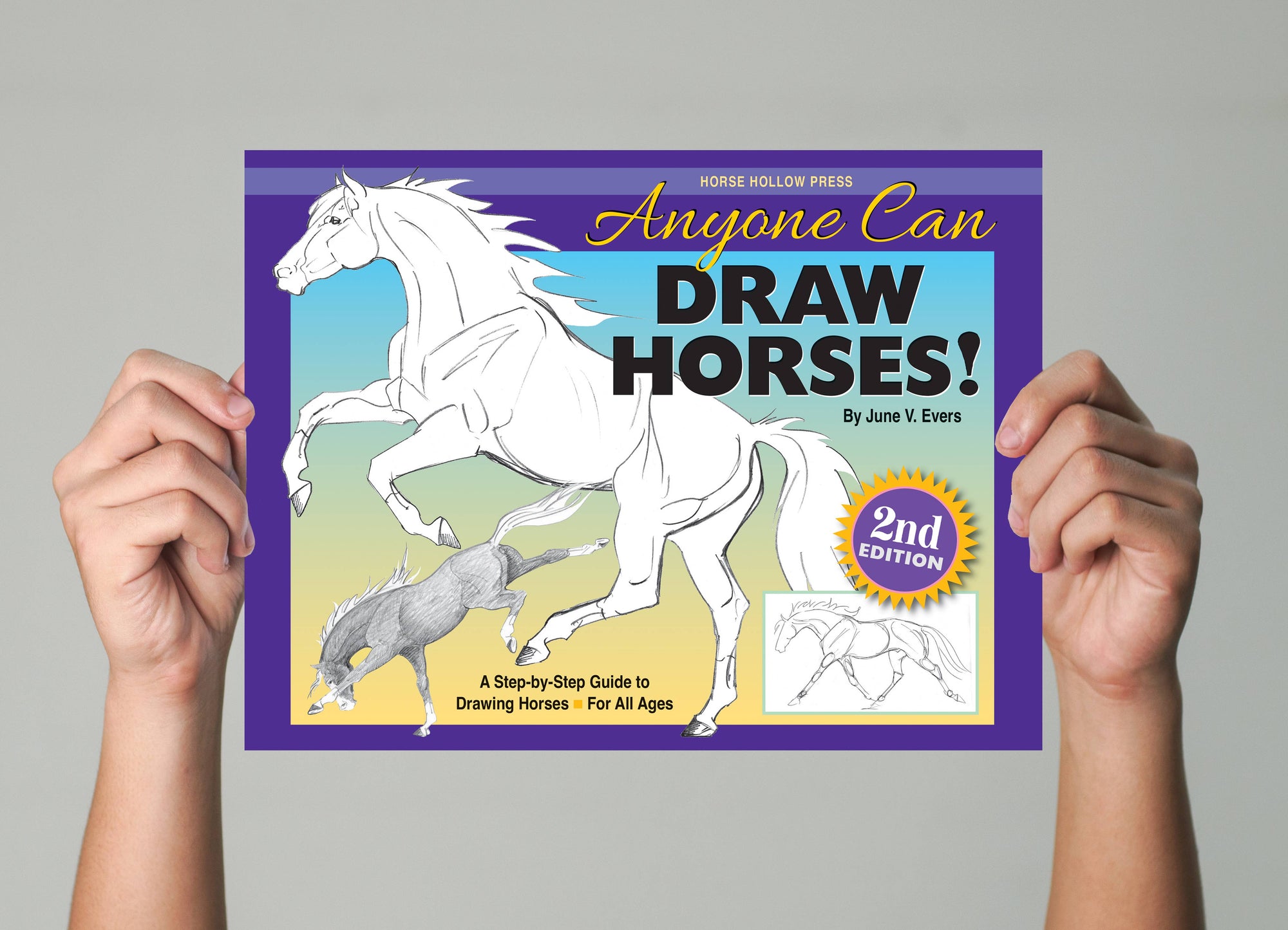 Horse Hollow Press - Art Book Animal Horse / Anyone Can Draw Horses / All ages