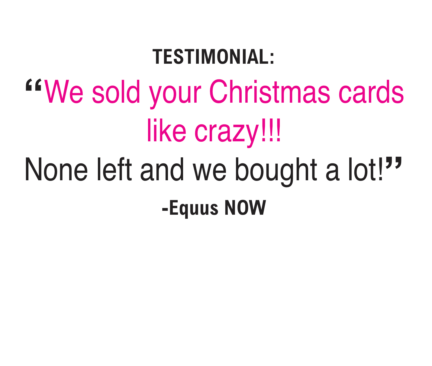 Horse Hollow Press - Donkey Christmas Card / Wrapped in Lights / Holiday Card