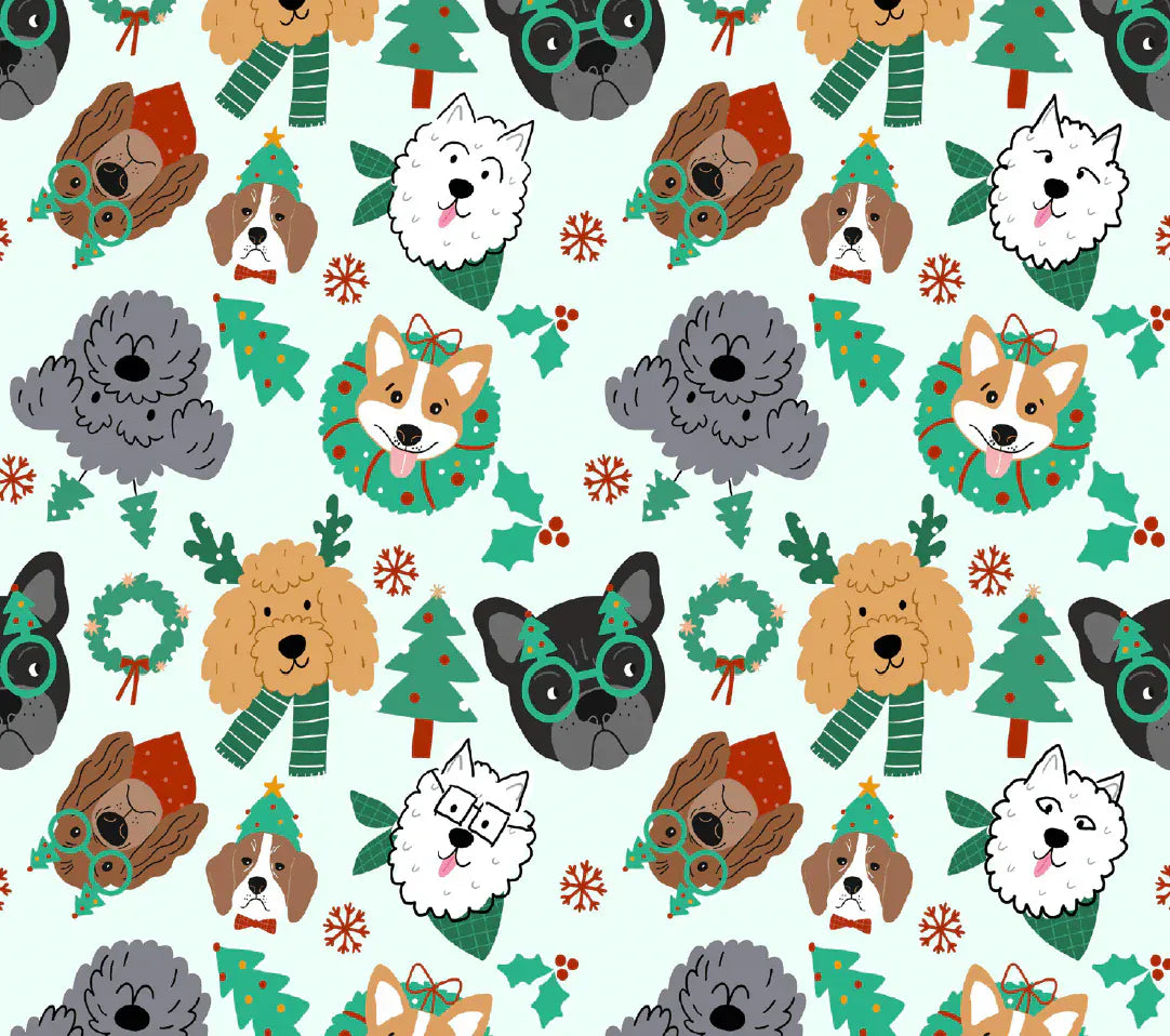 Dreamers & Schemers Deck the Paws Pair & A Spare Socks