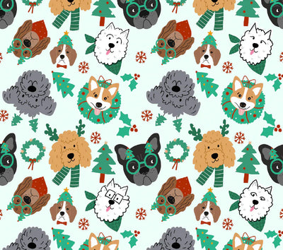 Dreamers & Schemers Deck the Paws Pair & A Spare Socks