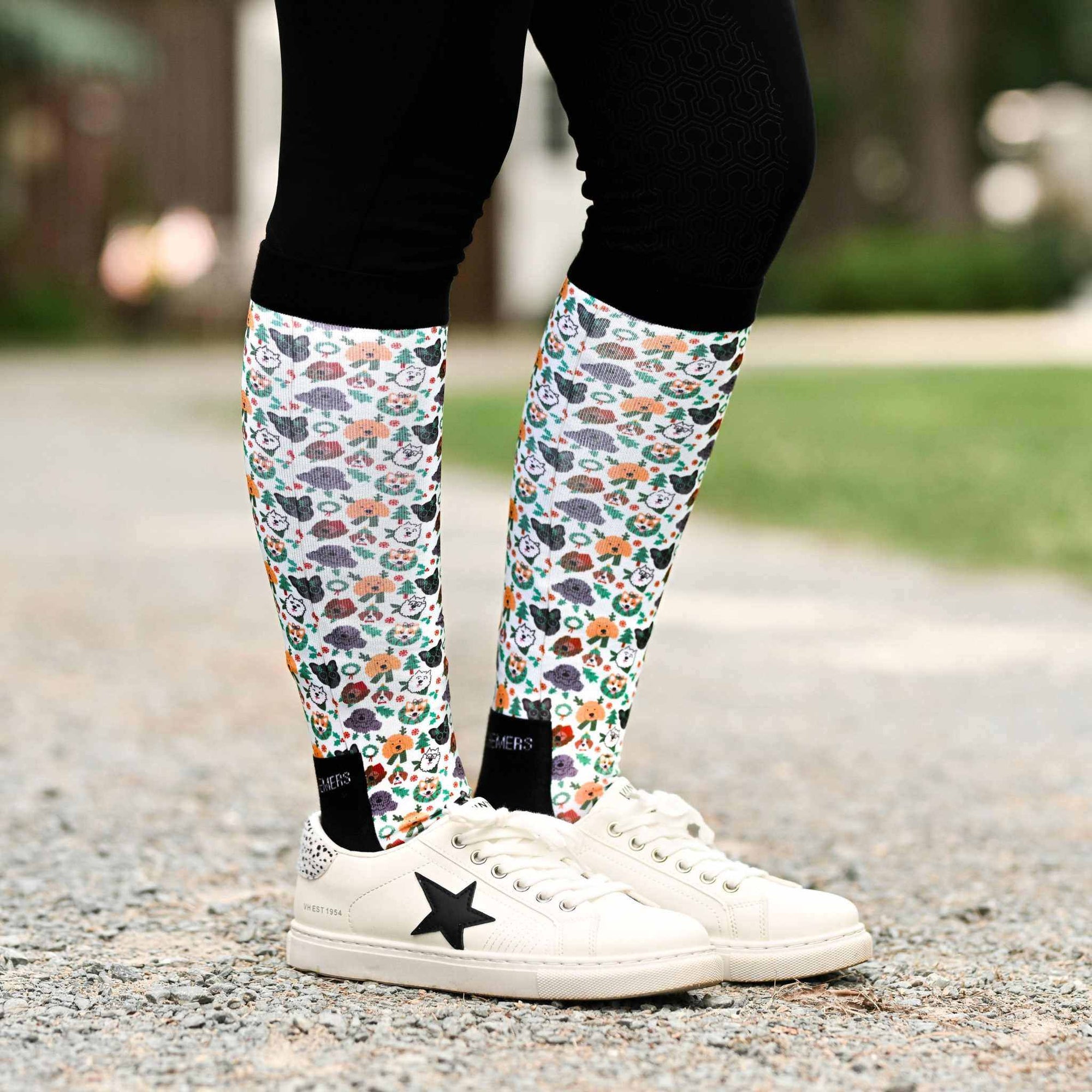 Dreamers & Schemers Deck the Paws Pair & A Spare Socks