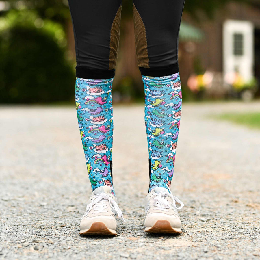 Dreamers & Schemers Dragon Dreams Pair & A Spare Socks WS