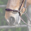 JUMP'IN - Drop Noseband - Havana