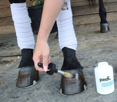 The Infused Equestrian - Pedi. A Hoof Conditioner (half pint/pint)