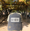 Vintage Life - Bad Hair Day Distressed Trucker Hat Baseball Cap - Exceptional Equestrian