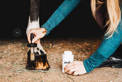 The Infused Equestrian - Pedi. A Hoof Conditioner (half pint/pint)