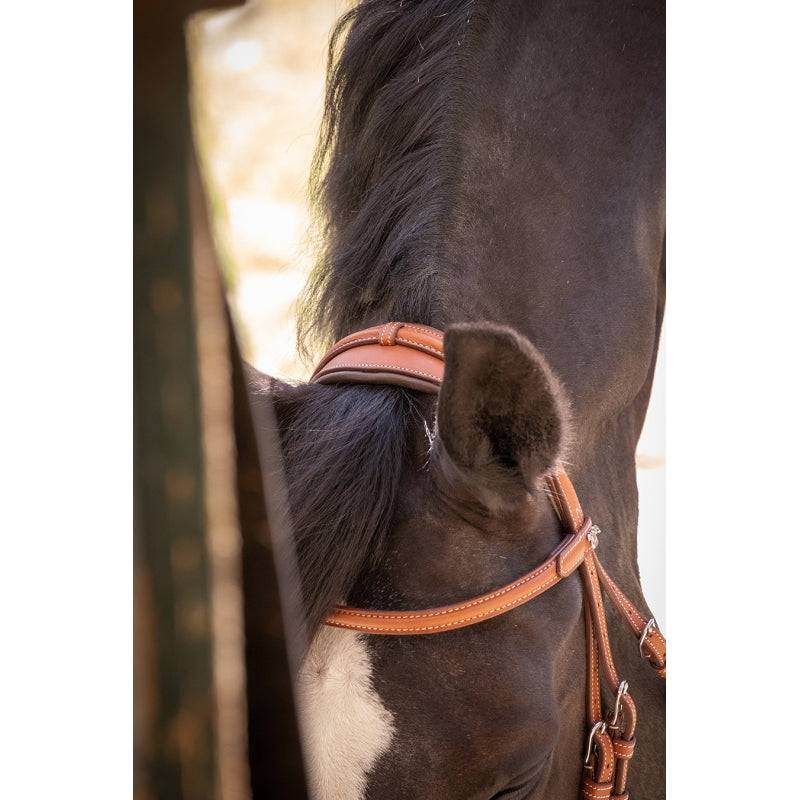 Penelope - Elegance Bridle - Exceptional Equestrian