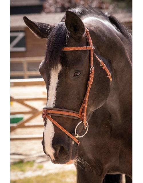 Penelope - Elegance Bridle - Exceptional Equestrian