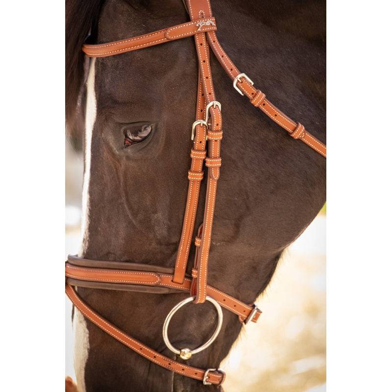 Penelope - Elegance Bridle - Exceptional Equestrian