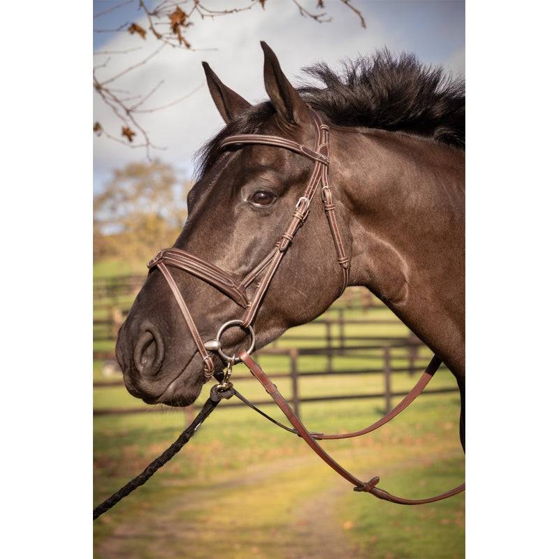 Penelope - Elegance Bridle - Exceptional Equestrian