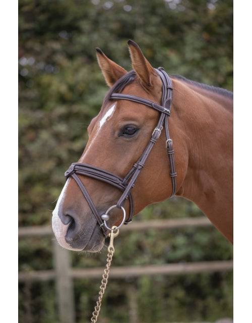 Penelope - Elegance Bridle - Exceptional Equestrian