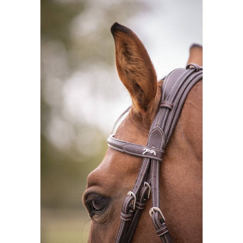 Penelope - Elegance Bridle - Exceptional Equestrian
