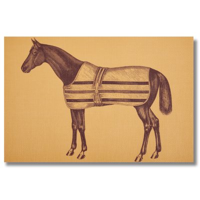 THOMASPAUL - Equestrian Vintage Woven Vinyl Placemats – Set of 4