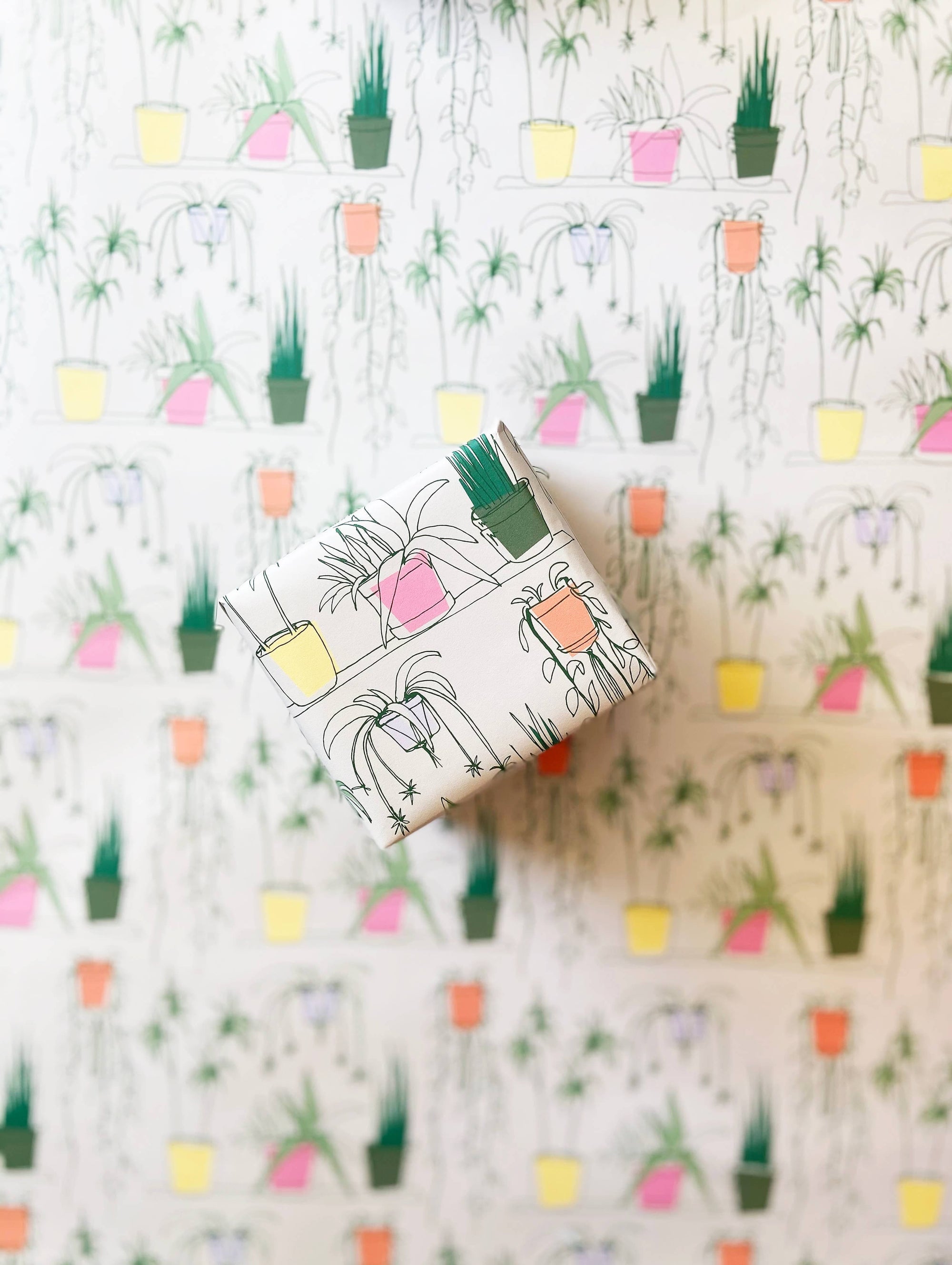 Steel Petal Press - House Plants Gift Wrapping Paper - Roll of 3 Sheets