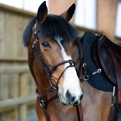 Jump'In EVOLUTION Leather rope flash noseband - Origin series