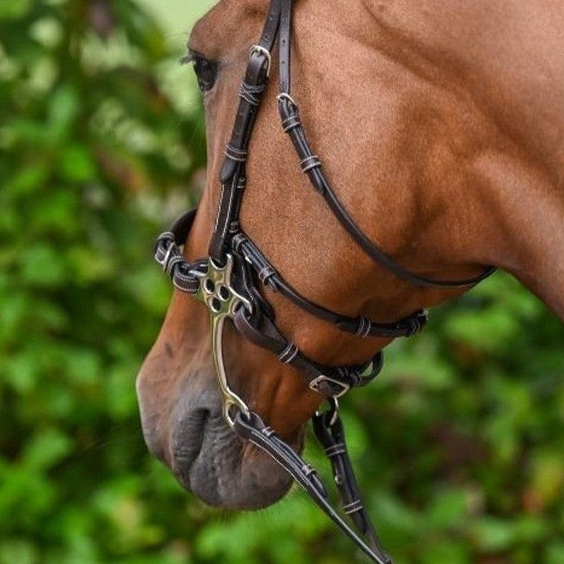 Jump'In Week Collection Hackamore Cheek Pieces and Strap