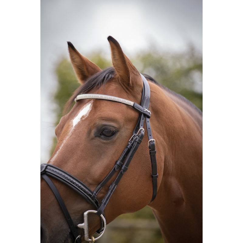 Penelope - Harmonie Bridle - Exceptional Equestrian