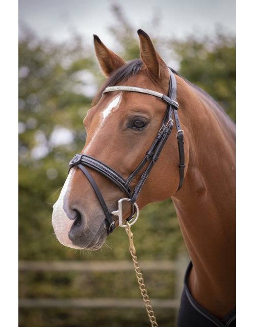 Penelope - Harmonie Bridle - Exceptional Equestrian