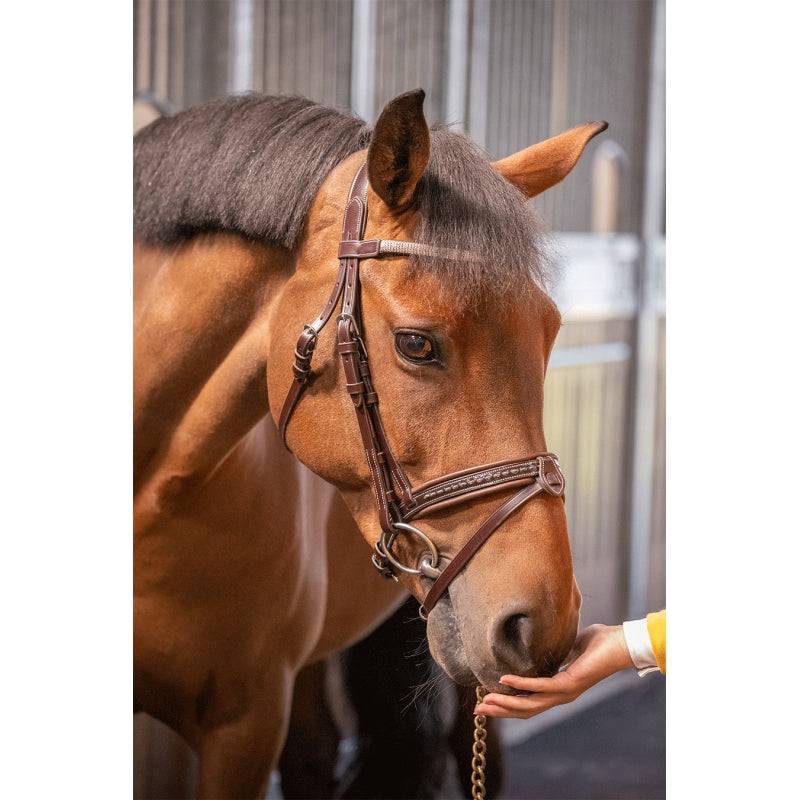 Penelope - Harmonie Bridle - Exceptional Equestrian