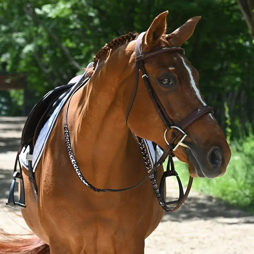 Antares Origin Hunter Line - Full (Size 2)