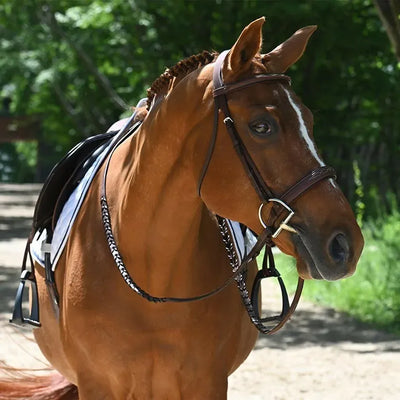 Antares Origin Hunter Line - Full (Size 2)
