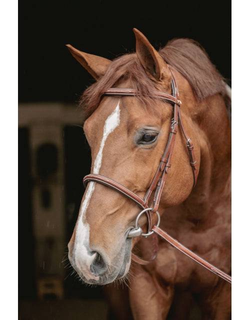 Pénélope - Hunter US Bridle - Chestnut & Havana - Exceptional Equestrian
