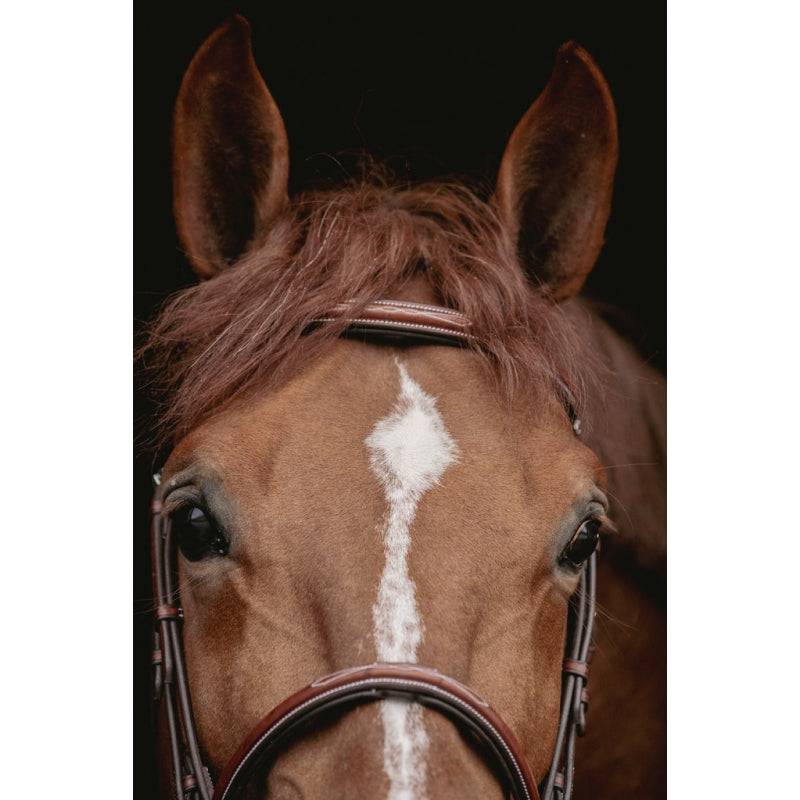 Pénélope - Hunter US Bridle - Chestnut & Havana - Exceptional Equestrian