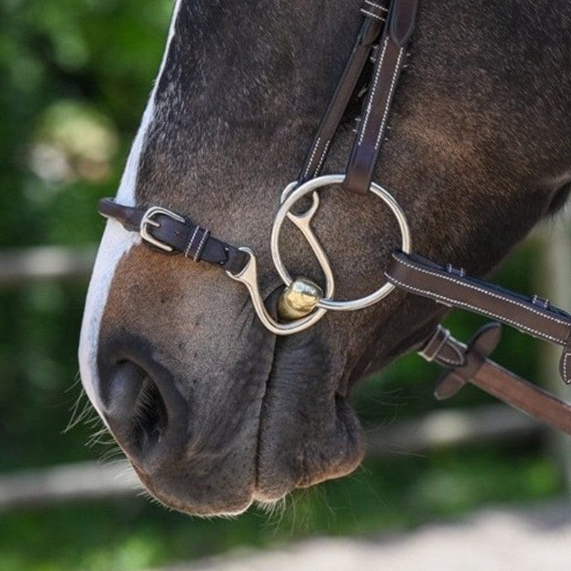 Jump'In Week Collection Kineton Noseband