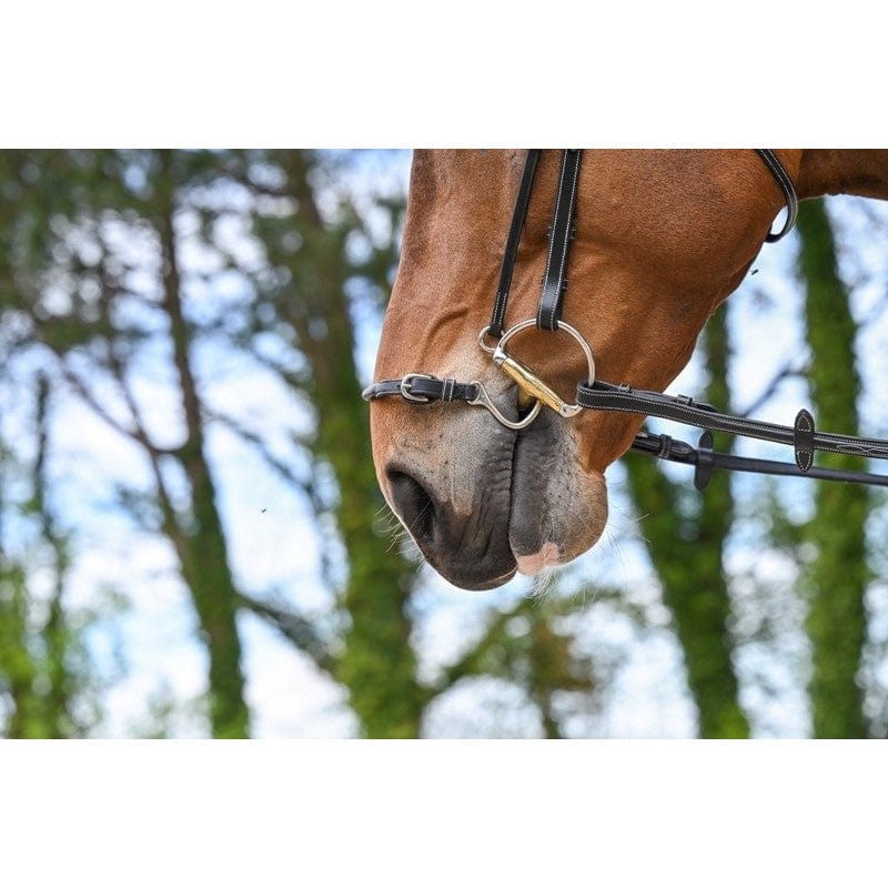 Jump'In Week Collection Kineton Noseband