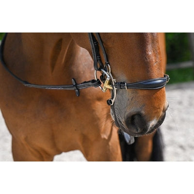 Jump'In Week Collection Hackamore noseband