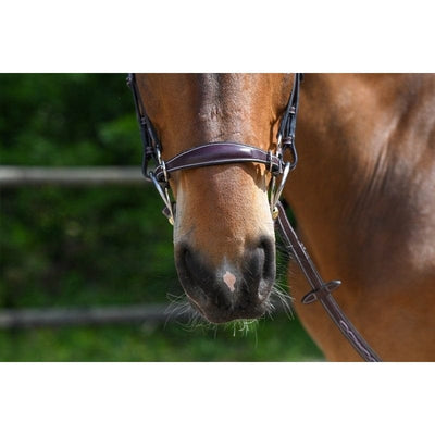 Jump'In Week Collection Hackamore noseband