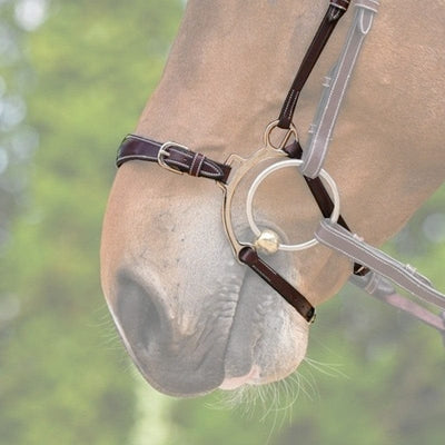 Jump'In Week Collection Hackamore noseband