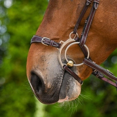 Jump'In Week Collection Hackamore noseband